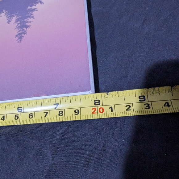 Jan Handcrafts Victoria BC Eagle wall plaque - Picture 6 of 10